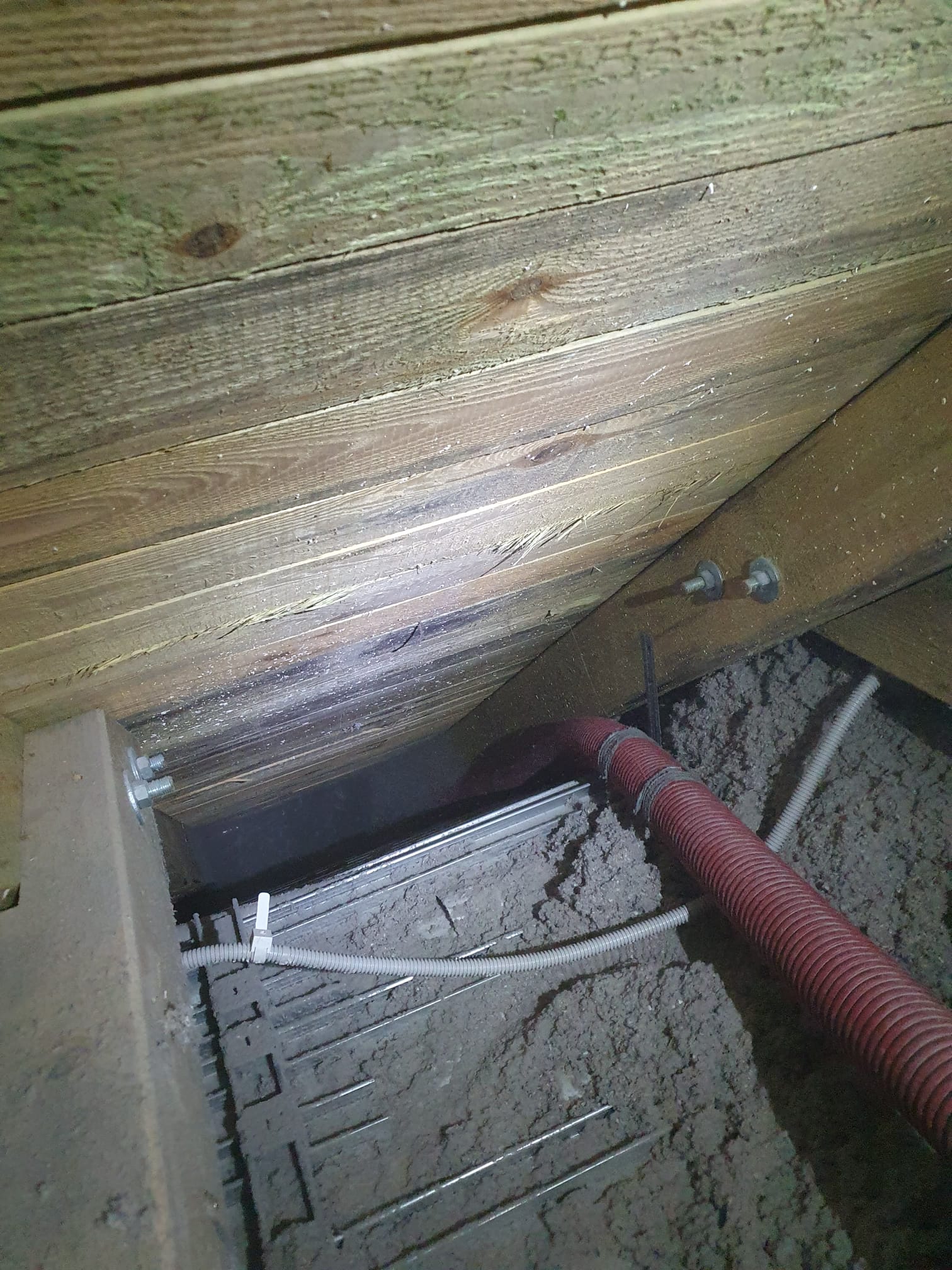 Poddasze Izolacja celulozą