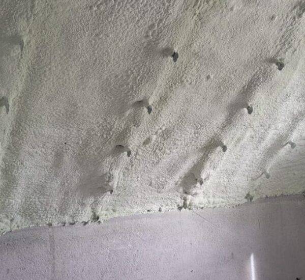 IMG-20250702-WA0010 IMG-20250702-WA0010