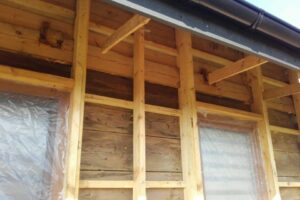 Nosow-1-04-2017-5 Nosow-1-04-2017-5