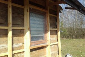 Nosow-1-04-2017-8 Nosow-1-04-2017-8