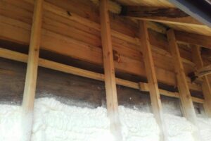 Nosow-1-04-2017-9 Nosow-1-04-2017-9