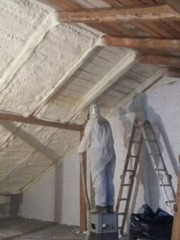 Izolacja Budynków Inwentarskich (Chlewnie, Kurniki, Obory) Izolacja Budynków Inwentarskich (Chlewnie, Kurniki, Obory)