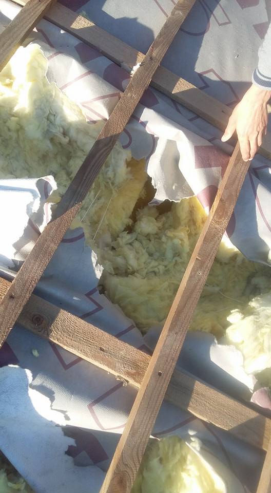 Skutki ingerencji kuny w ocieplenie Takie oto spustoszenie potrafi spowodować obecność kuny w ociepleniu