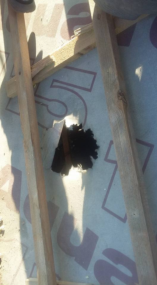 Dziura pozostawiona po kunie w materiale izolującym Dziura po kunie