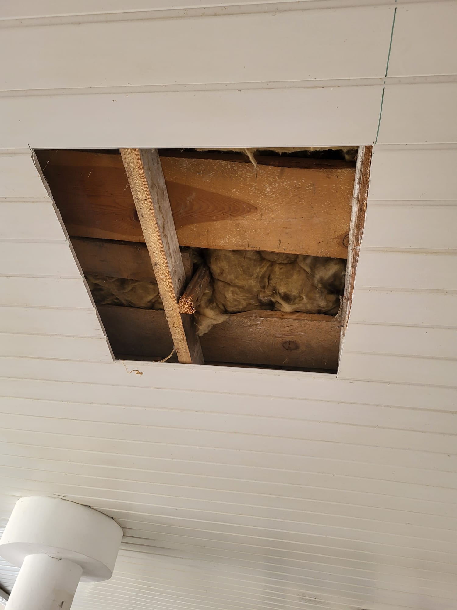 ocieplenie-stropu-welna-celulozowa-komfort-i-zdrowy-mikroklimat ocieplenie-stropu-welna-celulozowa-komfort-i-zdrowy-mikroklimat