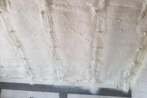 Biala-Podlaska-21-04-2021-2 Biala-Podlaska-21-04-2021-2