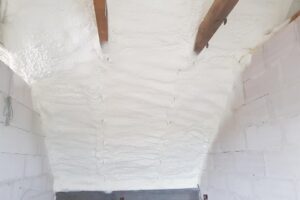 Biala-Podlaska-21-04-2021-5 Biala-Podlaska-21-04-2021-5