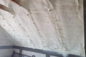 Biala-Podlaska-21-04-2021-6 Biala-Podlaska-21-04-2021-6