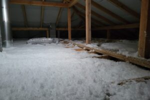 Cicibor-Duzy-1-05-2025-3 Cicibor-Duzy-1-05-2025-3