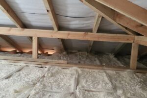 Cicibor-Duzy-1-05-2025-5 Cicibor-Duzy-1-05-2025-5