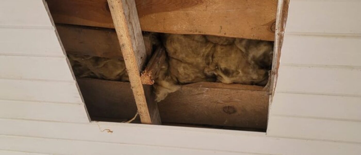 Cicibur-Duzy-22-09-2025-2