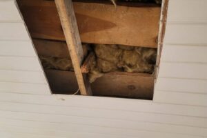 Cicibur-Duzy-22-09-2025-2 Cicibur-Duzy-22-09-2025-2