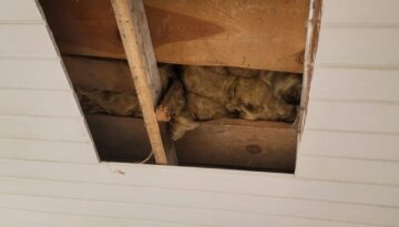 Cicibur-Duzy-22-09-2025-2