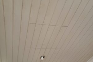 Cicibur-Duzy-22-09-2025-3 Cicibur-Duzy-22-09-2025-3