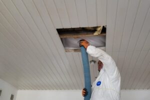 Woj-Lubelskie-24-06-2025-2 Woj-Lubelskie-24-06-2025-2